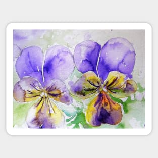 Viola Watercolor Purple Sticker